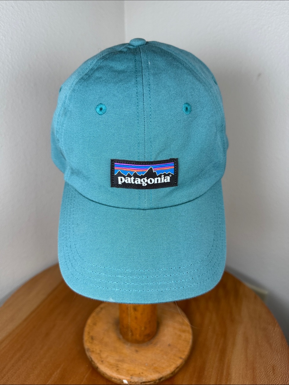 Patagonia Tate Hat Cap Blue Teal Women’s Mens Dad Hat Ball Cap